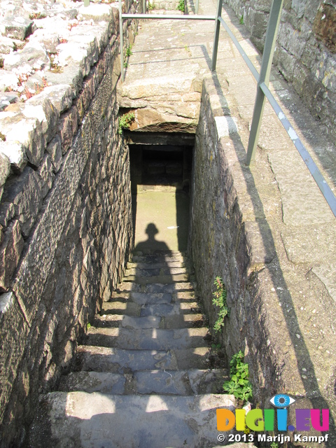 SX29031 Shadow down steps